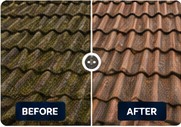 Roof Cleaning