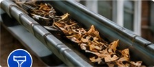 Gutter full of leaves and debris