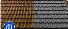 Roof Cleaning