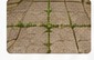 Weeds in patio joints